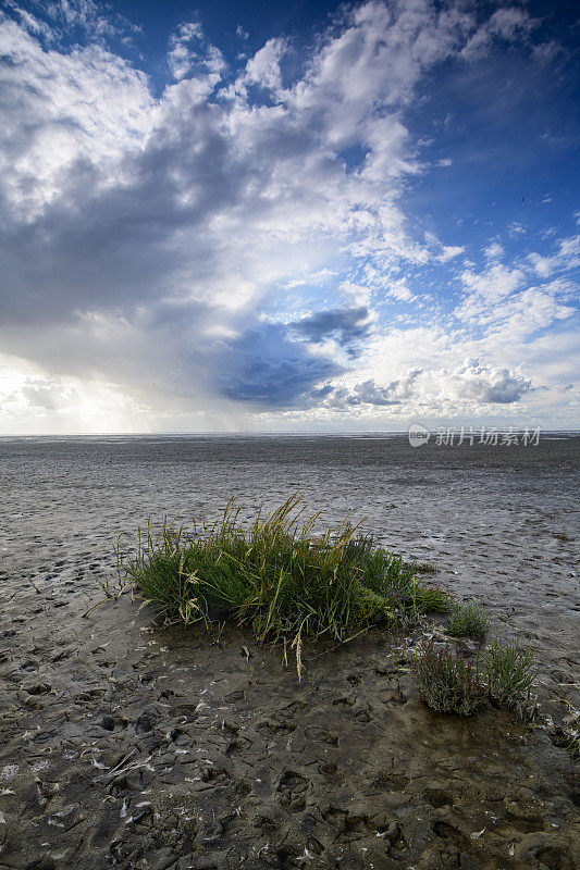 在荷兰北部的瓦登海自然保护区“de Wadden”，有潮汐沙滩的空旷景观